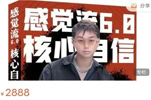 图片[1]-天马情感恋爱课堂《感觉流6.0：核心自信》-沉沉情感网