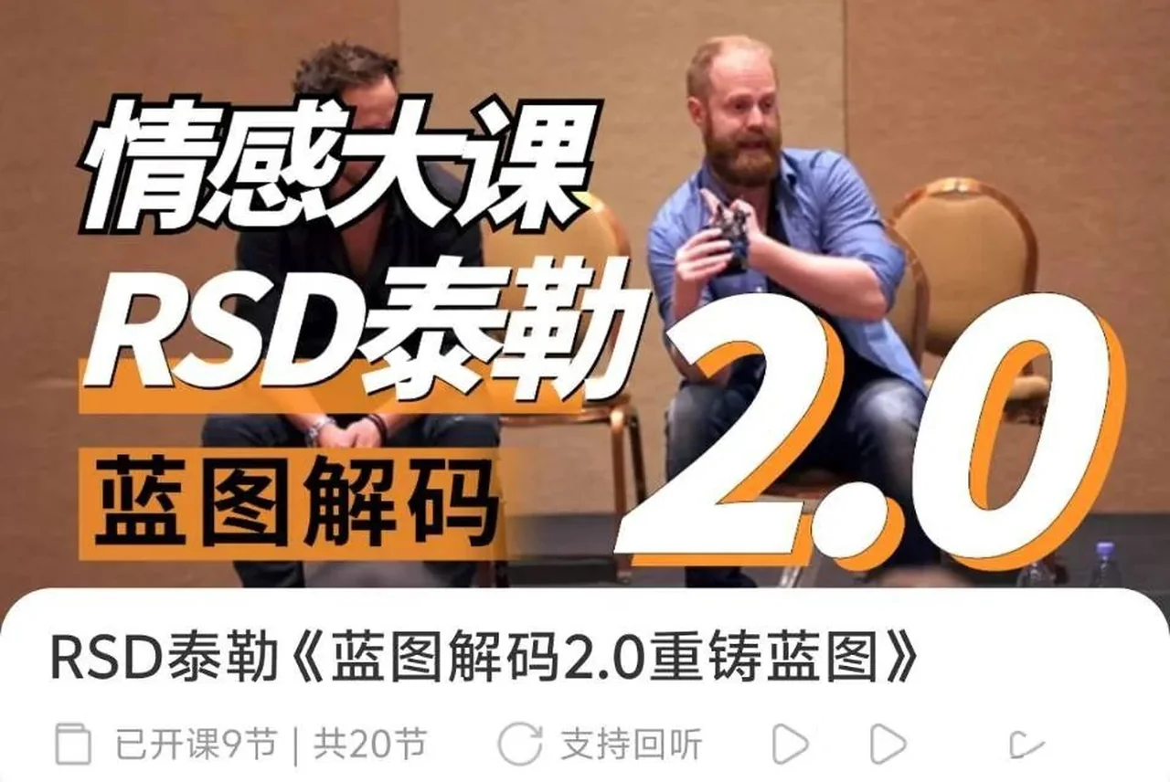图片[2]-RSD泰勒《蓝图解码2.0重铸蓝图》-沉潜情感社