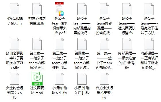 图片[2]-梵公子《内部课》-启明情感网