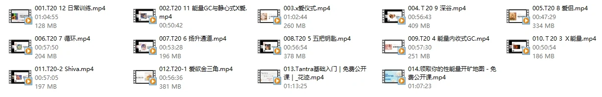 图片[3]-TC性与爱 T20（重新点燃欲望）-心途成长社