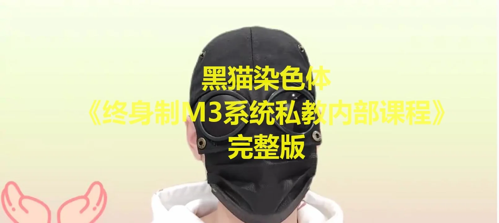 图片[2]-[6.7GB]黑猫染色体《终身制M3系统私教内部课程》-沉潜情感社