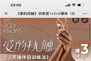 罗南希《爱的抚触》训练营1+2+3模块-启明情感网