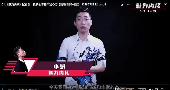 [18.5GB]爱上情感《魅力内核：你的强大状态引擎》-知行情感社