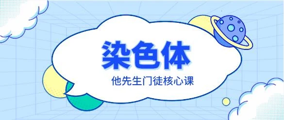 染色体《他先生门徒核心课》-沉沉情感网