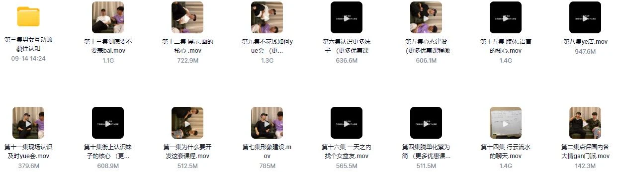 图片[2]-[11.8GB]《馄饨哥真男人教学课程（更新版）》完整版下载【101003】-启明情感网
