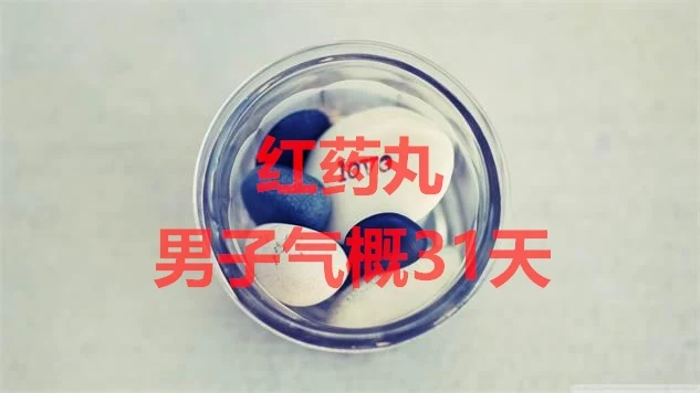 图片[1]-红药丸《男子气概31天》百度云下载【091401】-知行情感社