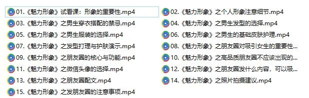 图片[2]-魅力男神系列《魅力形象：提升自身内涵》百度网盘下载【081813】-心途成长社