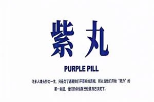 图片[1]-锵锵三分钟《紫丸》PDF-掌舵行动营