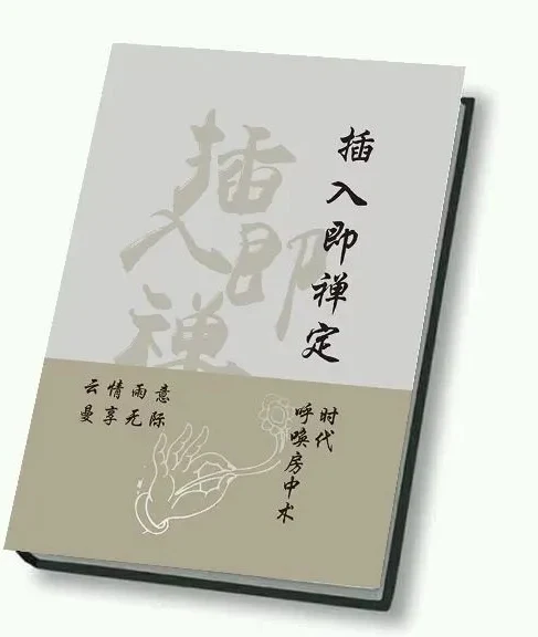 图片[2]-《插入即禅定》PDF电子版/无水印-初心情感社