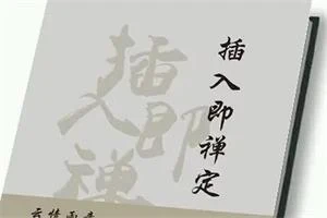 图片[1]-《插入即禅定》PDF电子版/无水印-初心情感社