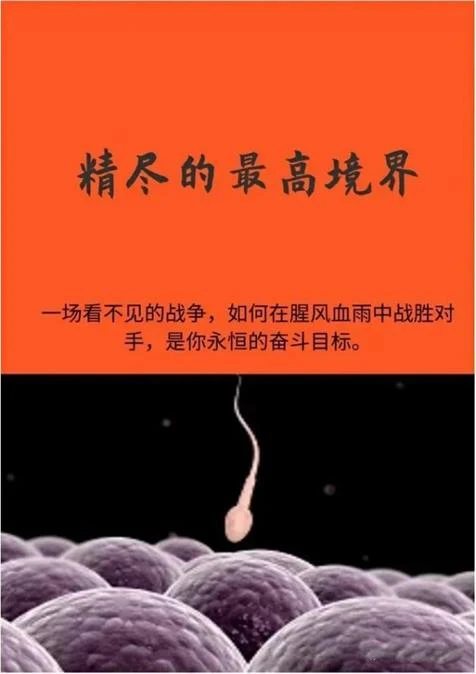 图片[2]-《精尽的最高境界》pdf电子版/无水印-初心情感社