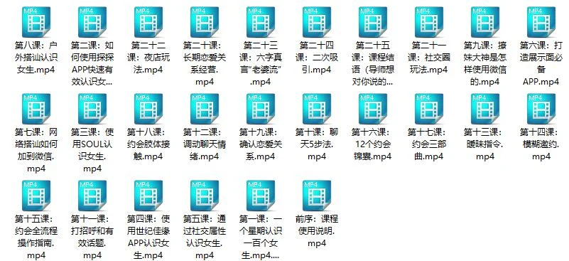 图片[2]-泰阳把妹《成功完全追到女孩必修课程》百度网盘下载【081412】-铁锚资源库