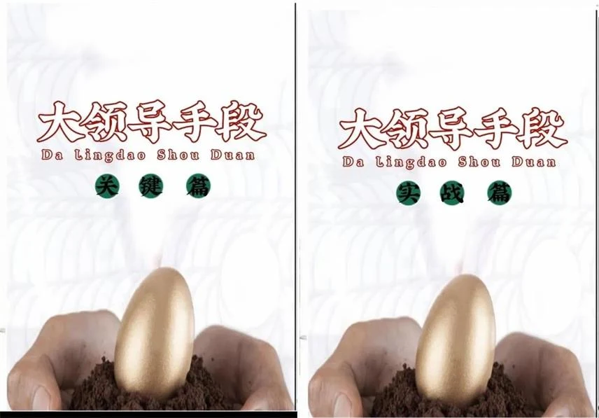 图片[2]-《大领导手段实战篇+关键篇》pdf电子版/无水印-启明情感网