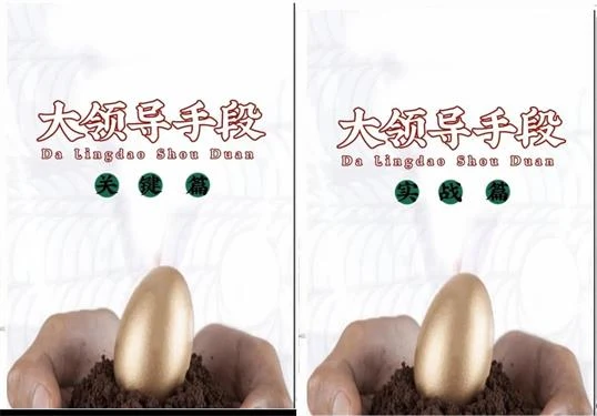 《大领导手段实战篇+关键篇》pdf电子版/无水印-启明情感网