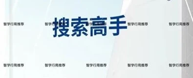 《搜索高手》pdf电子版/无水印-启明情感网