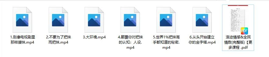 图片[2]-【080401】浪迹情感《情敌攻略视频》+《情敌手册PDF》百度网盘下载-铁锚资源库