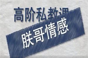 朕哥高阶私教课之《综合提升》-启明情感网