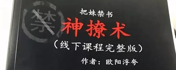 图片[1]-欧阳浮夸《神撩术》pdf电子版/无水印-沉潜情感社