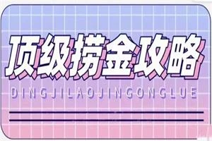 图片[1]-林夕老师《顶级捞金攻略》价值3000-初心情感社