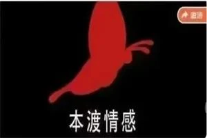 本渡情感《普通男性升阶之道》9节-初心情感社