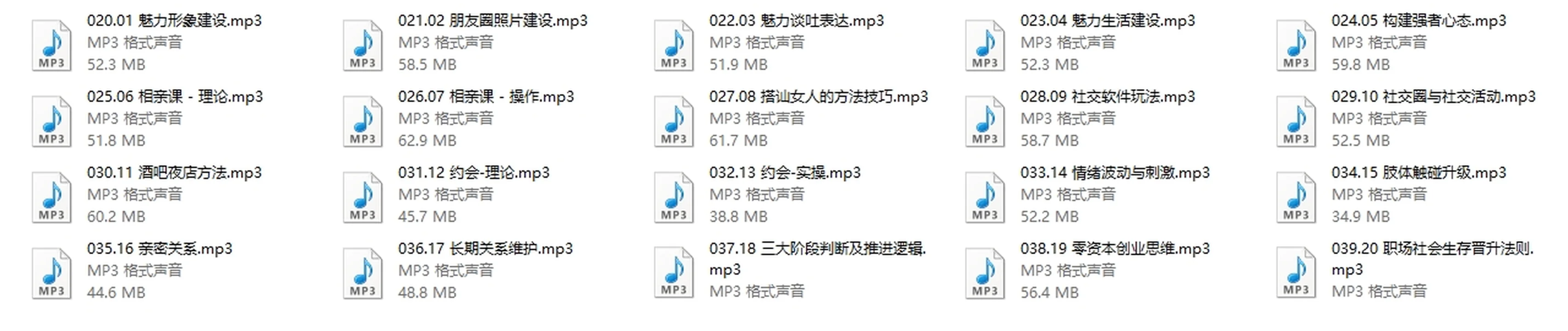 图片[3]-丹青门徒课-魅力工程【新】20节音频-铁锚资源库