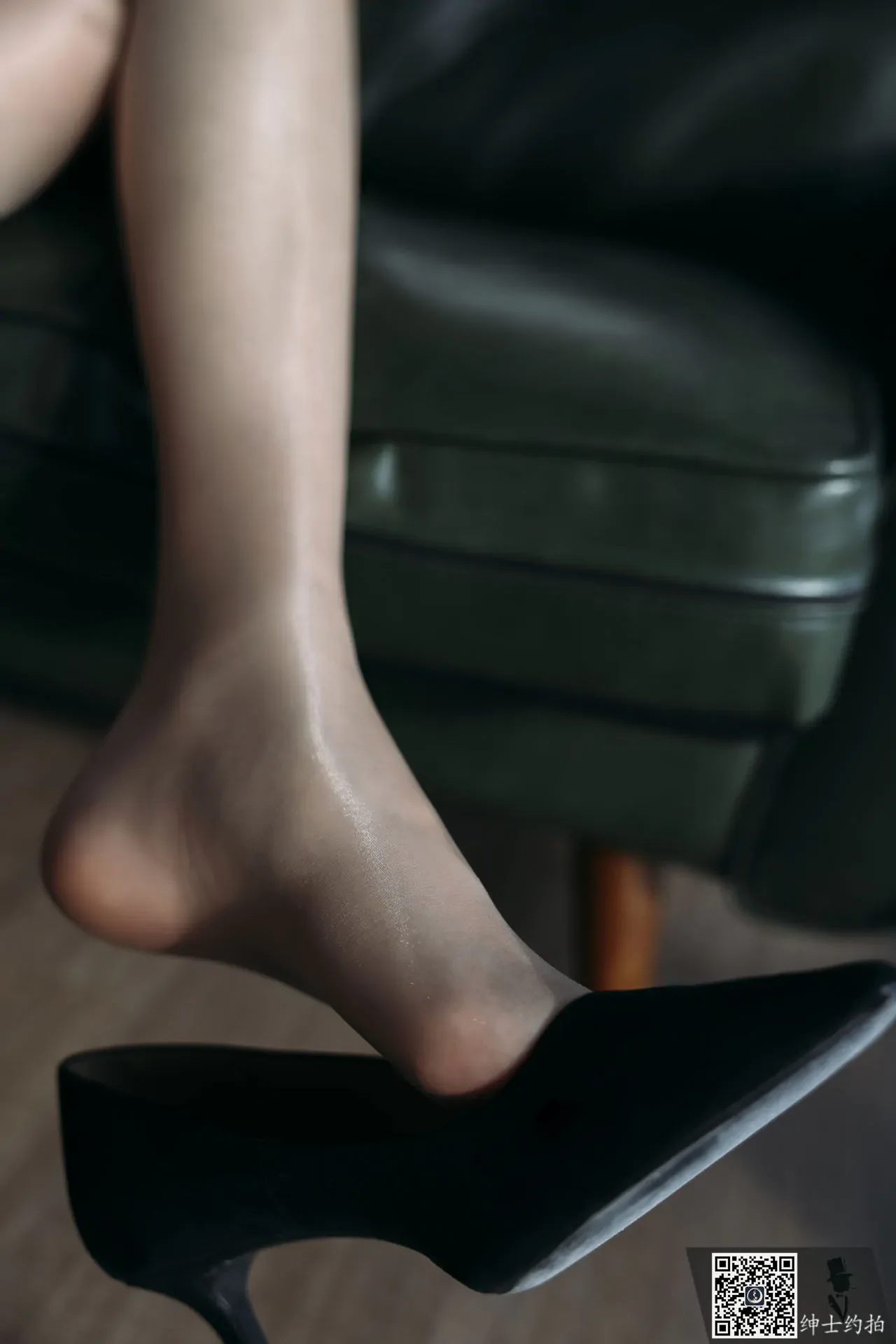 SHENSHI绅士 全套合集（自动更新）-狗狗美女馆